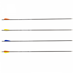 Avalon Tyro Carbon Arrow ready to shoot (4.2) with Feathers (image for) Avalon Tyro Carbon Arrow ready to shoot (4.2) with Feathers