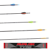 (image for) Avalon Tyro 2024 Carbon Arrow - ready to shoot (4.2)