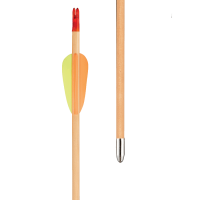 (image for) EK Archery Eco Complete Wooden Arrow