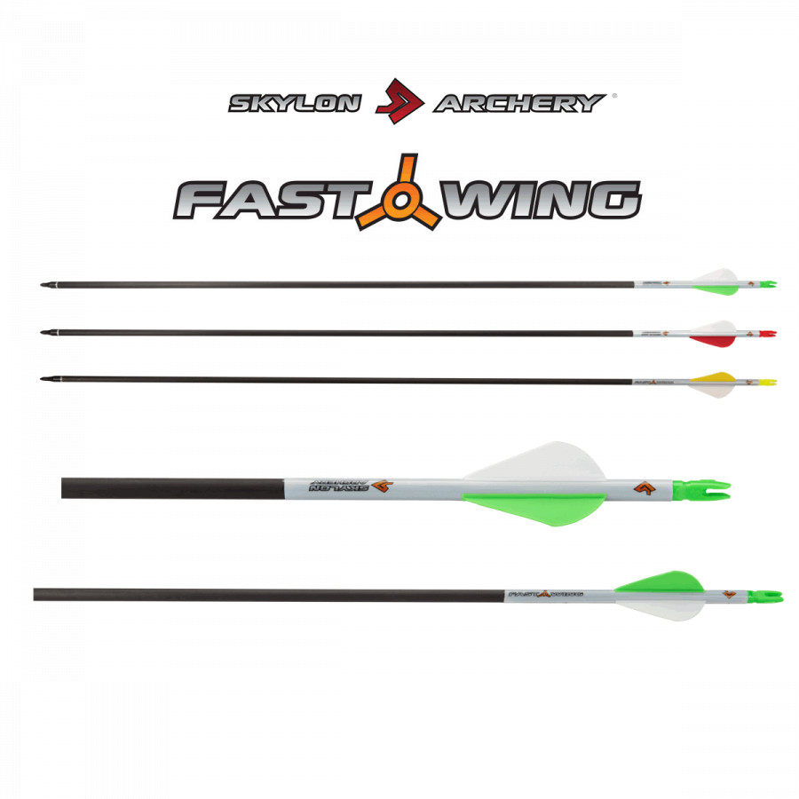 (image for) Skylon Fast Wing (±0.006) Carbon Arrow (6.2)