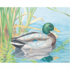 (image for) JVD Animal Target Face Duck