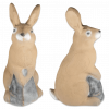 (Bild für) 3D-Int Bunny (Häschen)