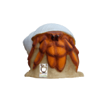 (image for) 3D-Int Hermit Crab