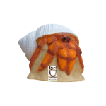 (image for) 3D-Int Hermit Crab