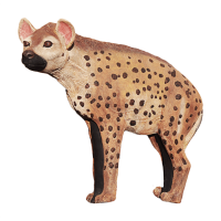 (image for) Asen/Wildcrete 3D Hyena large