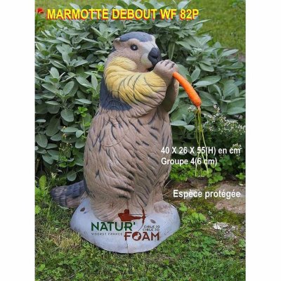 (image for) Natur Foam Marmot standing