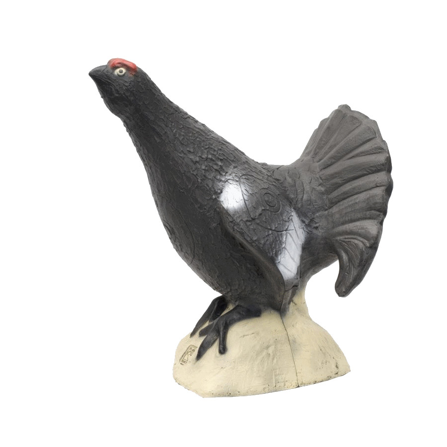 (image for) SRT Blackcock