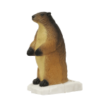 (image for) SRT Marmot