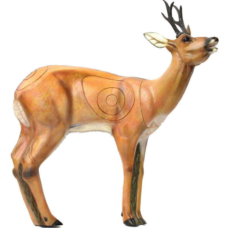 (image for) SRT Roebuck