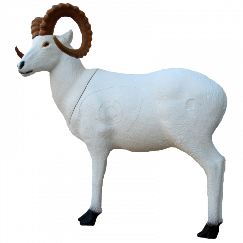 SRT Dall Sheep