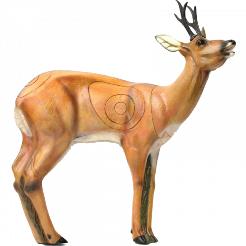 SRT Roebuck