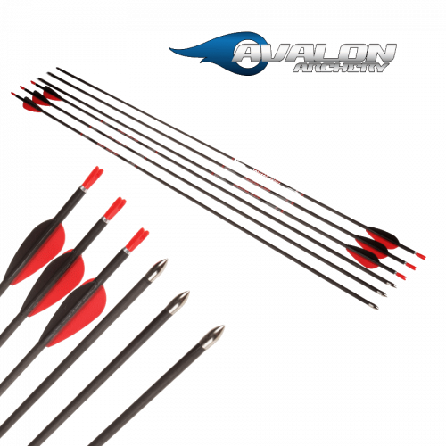 Avalon Tyro Carbon Arrow - ready to shoot (4.2)