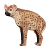 Wildcrete 3D Hyena large