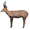 Wildcrete 3D Bushbuck