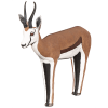 Wildcrete 3D Springbock