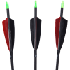 Penthalon Traditional Black Carbon Arrow with Feathers