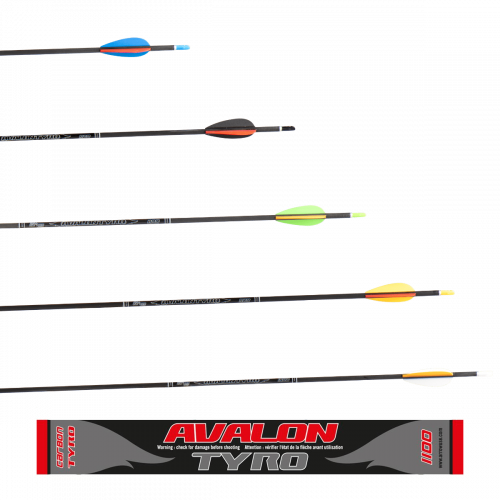 Avalon Tyro 2024 Carbon Arrow - ready to shoot (4.2)