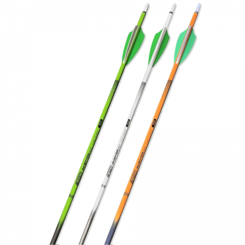 Shocq Inceptor Carbon Arrow with Vanes (4.2)